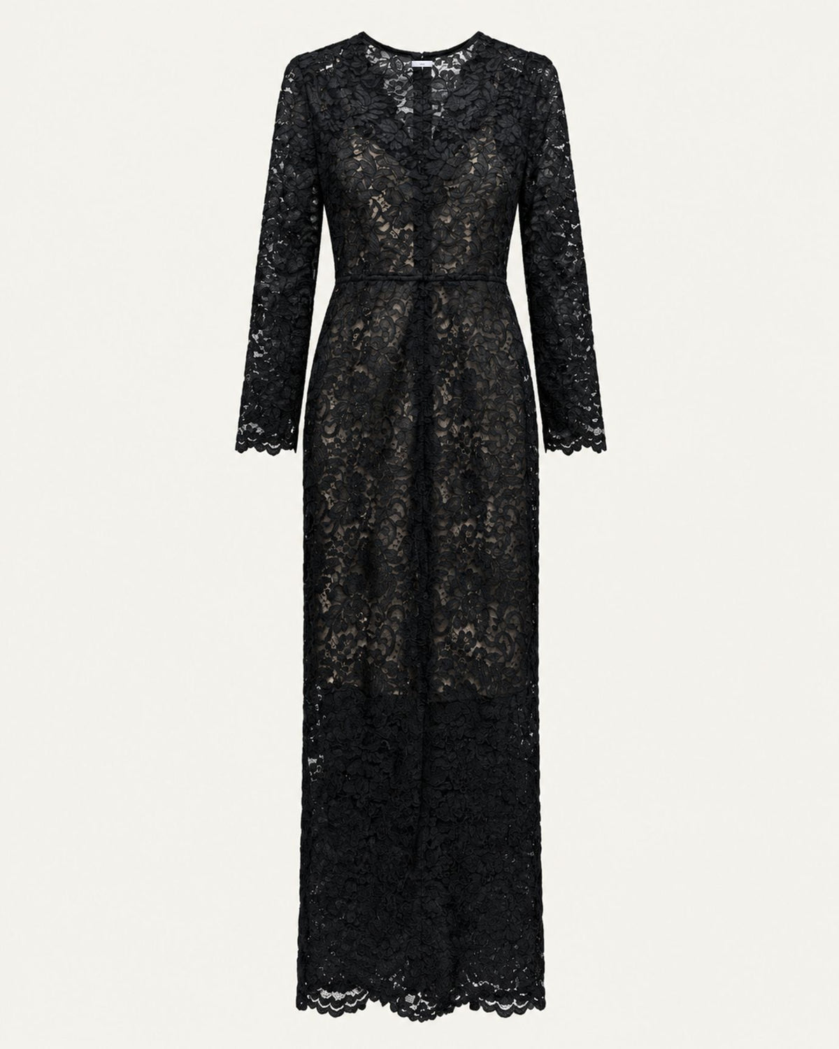 Zoey Tailored V-Neck Lace Evening Dress