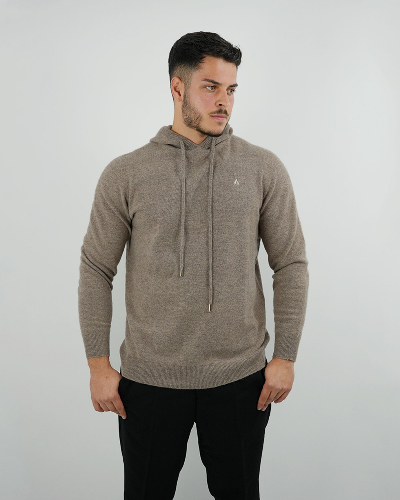 Shop Wool Classy camel hoodie with light beige logo