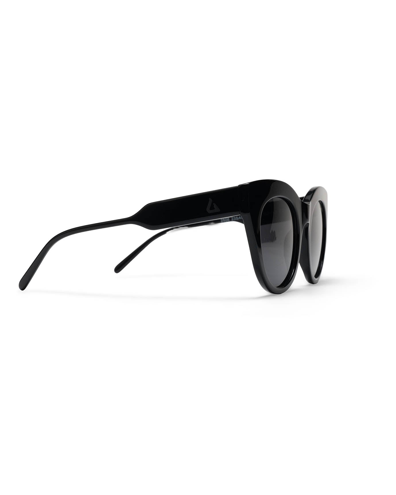 Cat Eye Black Smoke Tint Sunglasses